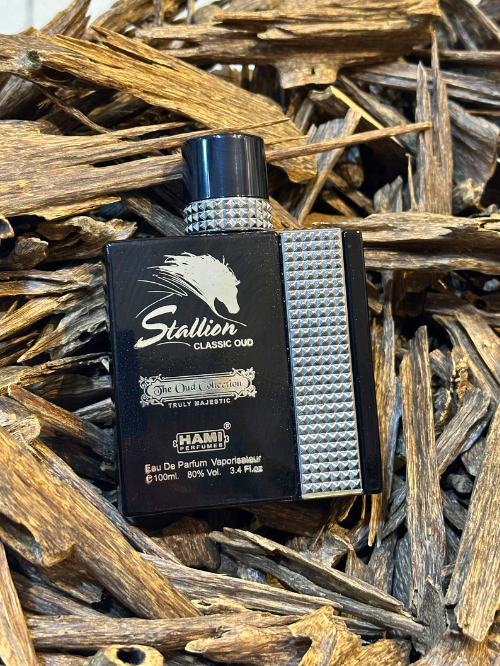 Stallion Classic Oud - Hami Perfumes Dubai